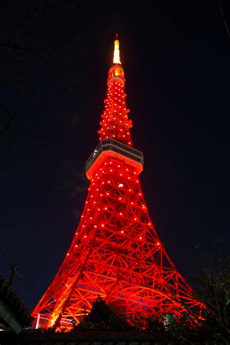 東京タワー ライトアップ 時間